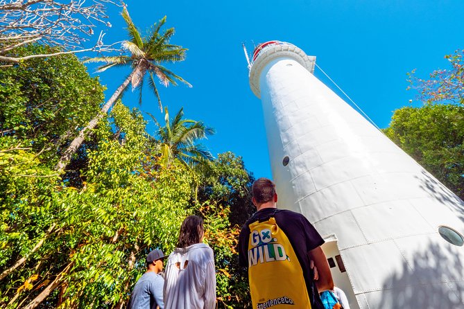 Half Day Low Isles Snorkelling Tour From Port Douglas - Last Words