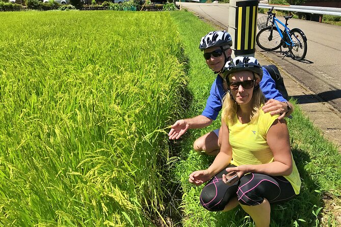 Half Day Rural E-Bike Tour in Hida - Visitor Reviews and Ratings