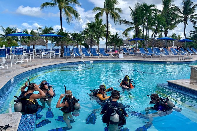 Half Day Scuba Diving Trip in the Florida Keys - Meeting Point Information