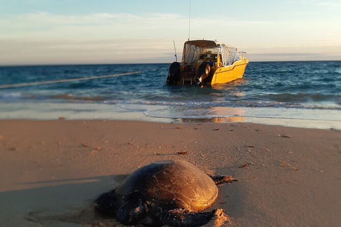 Half Day Snorkel 2.5hr Turtle Tour on the Ningaloo Reef, Exmouth - Tour Duration and Snorkeling Time