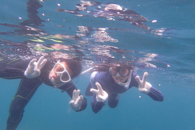 Half-Day Snorkeling Course Relieved at the Beginning Even in the Sea of Izu, Veteran Instructors Wil - Weather Contingency