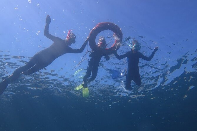 Half Day Snorkeling Experience in Kos Greece - Spectacular Coastal Views