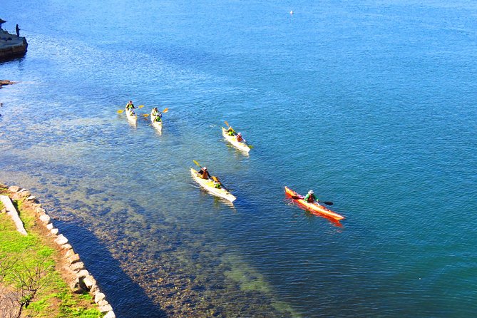 Half-Day Sydney Middle Harbour Guided Kayaking Eco Tour - Additional Information