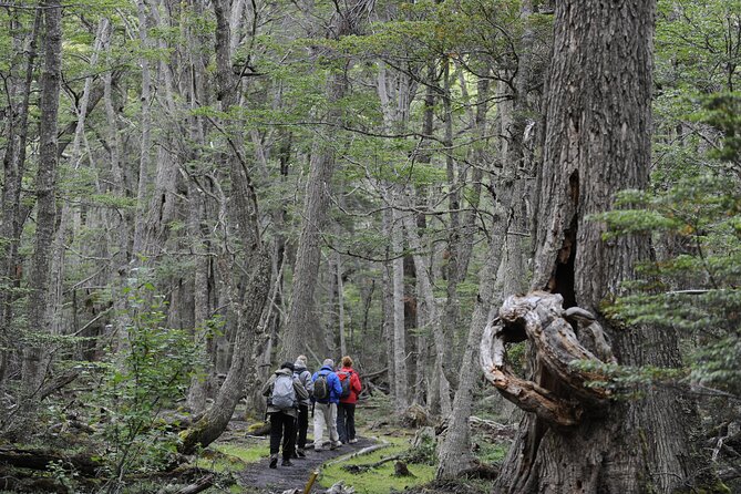 Half-Day Tierra Del Fuego National Park With Lunch and Drinks - Itinerary
