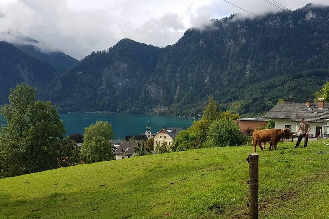 Hallstatt Small-Group Day Trip From Vienna - Traveler Reviews