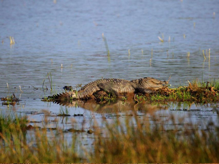 Hambantota Harbor: Safari at Lunugamvehera National Park - Important Tips