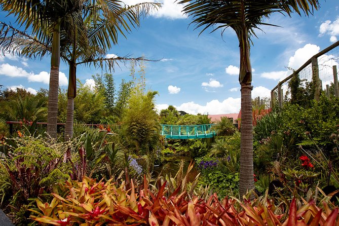 Hamilton Gardens Highlights Tour - Cancellation Policy Details