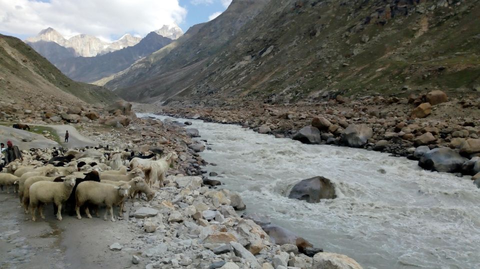 Hampta Pass With Chandrataal Trek By WDRLUST - Last Words