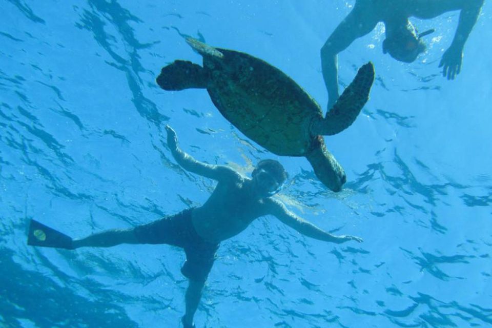 Hawaii: Pu'uhonua O Honaunau & Kealakekua Bay Snorkel Tour - Customer Reviews