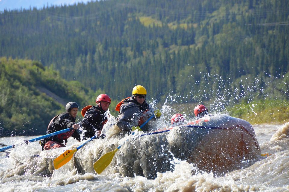 Healy: Denali National Park Class IV Whitewater Rafting Tour - Activity Description