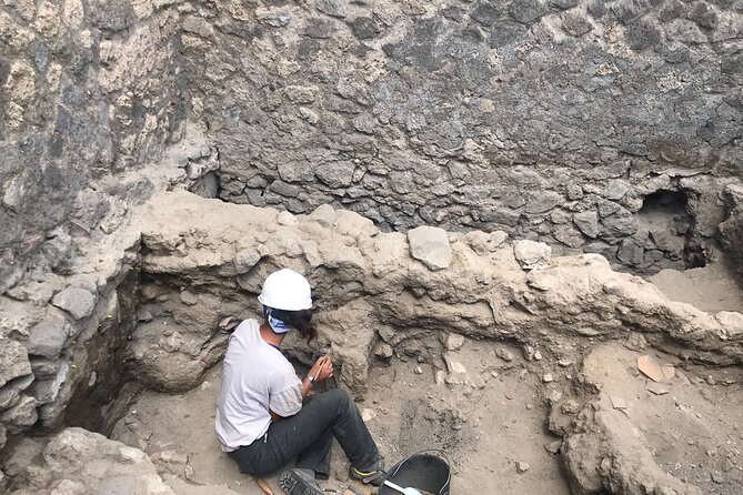 Herculaneum Private Tour With an Archaeologist - Review Summary and Feedback