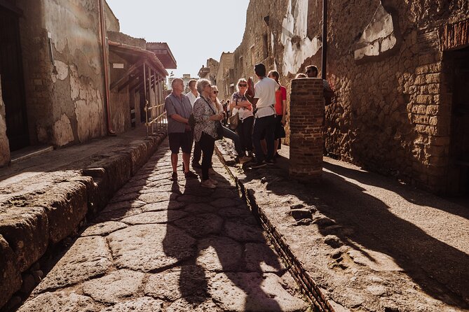 Herculaneum Small Group Tour With an Archaeologist - Safety Measures and Visitor FAQs