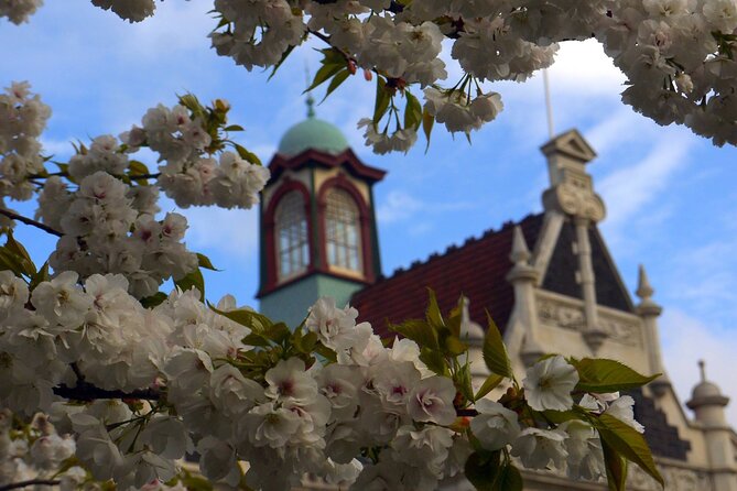 Heritage Dunedin City Walking Guided Tour - Additional Information