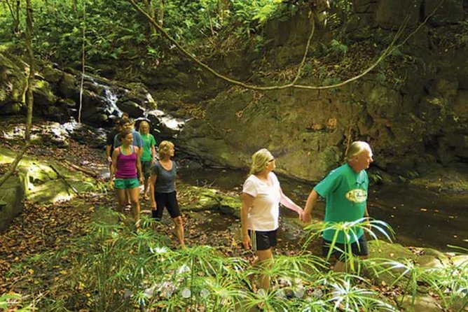 Hidden Valley Falls Kayak and Kauai Hike Adventure - Booking & Contact Information