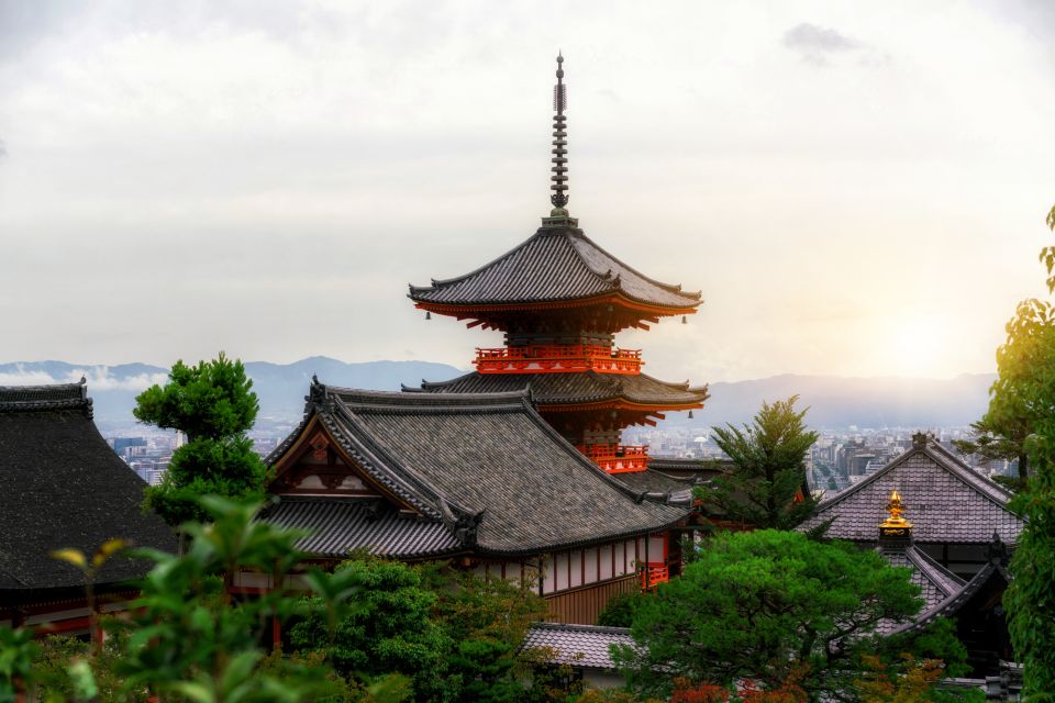 Higashiyama Kyoto: Sakura Season Private Rickshaw Tour - Meeting Point and Guide Information