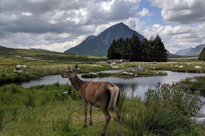 Highlands Private One Day Tour of Scotland - Common questions