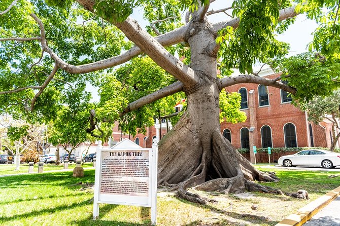 Highlights and Stories of Key West - Small Group Walking Tour - Flexible Cancellation Policy