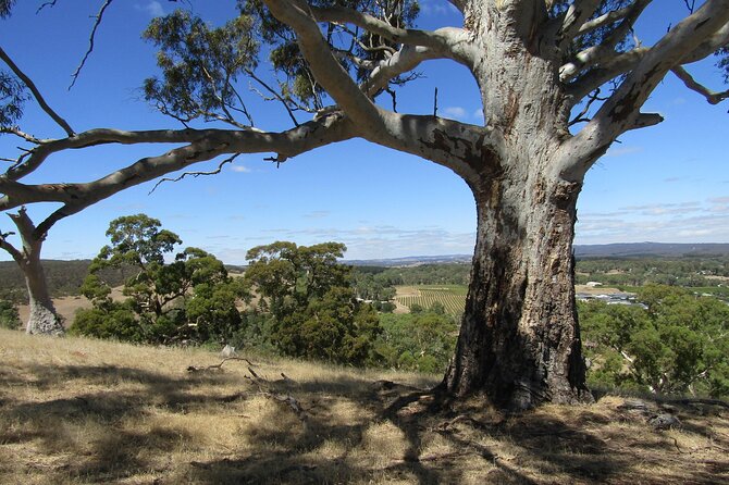 Highlights of the Barossa Valley: Private Red Cab Tasting Tour (Mar ) - Additional Tips for a Memorable Experience