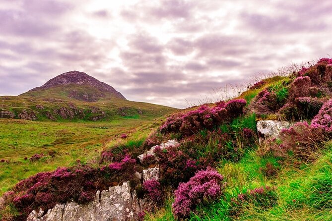 Hike Connemara National Park Depart From Galway City. Galway. Guided. Full Day. - Meeting Point and Departure Details