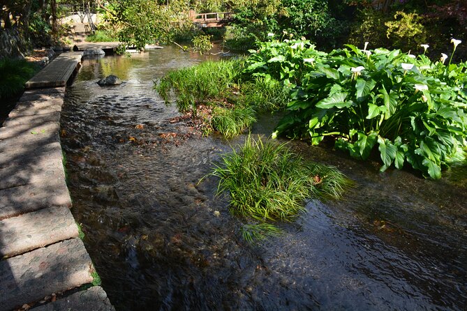 Hike Hakone Hachiri - Practical Information and Tips