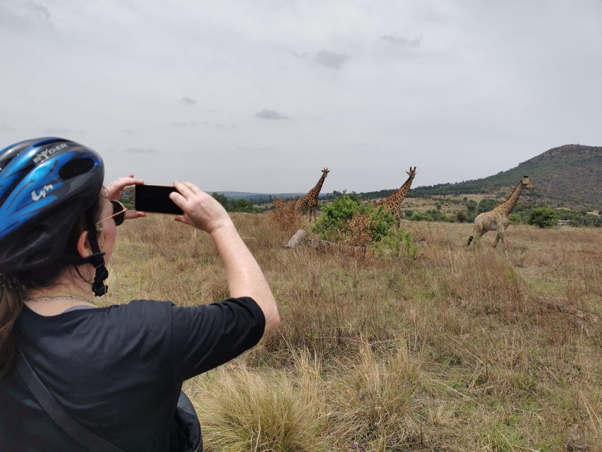 Hike in a Wildlife Reserve With Wild Animals (No Predators) - Environmental Conservation Focus