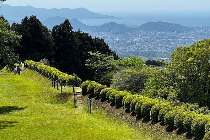 Hike Japan Heritage Hakone Hachiri With Certified Mountain Guide - Cultural Insights and Heritage Sites