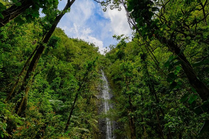 Hike Trail to Waterfall & Nature Walk - What to Bring and Additional Details