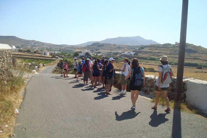 Hiking Adventure in Mykonos With Lunch Option - Professionalism of the Tour Guides