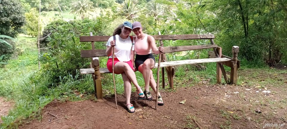 Hiking Adventure Through Grand E'tang RainForest - Highlights