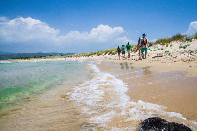 Hiking Around Navarino Bay - Terrain and Difficulty Levels