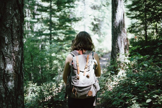 Hiking in Parnitha National Park From Athens - Last Words