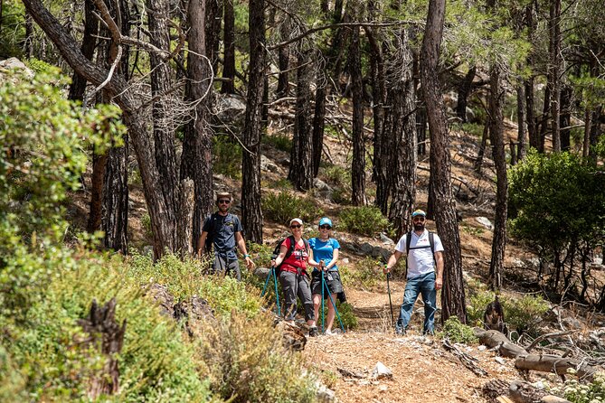 Hiking Mountain Akramitis Rhodes - Pick up Service Available - Participant Requirements