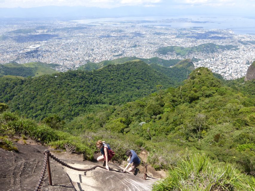 Hiking to Tijuca Peak - The Highest Summit in Tijuca Forest - Tour Experience