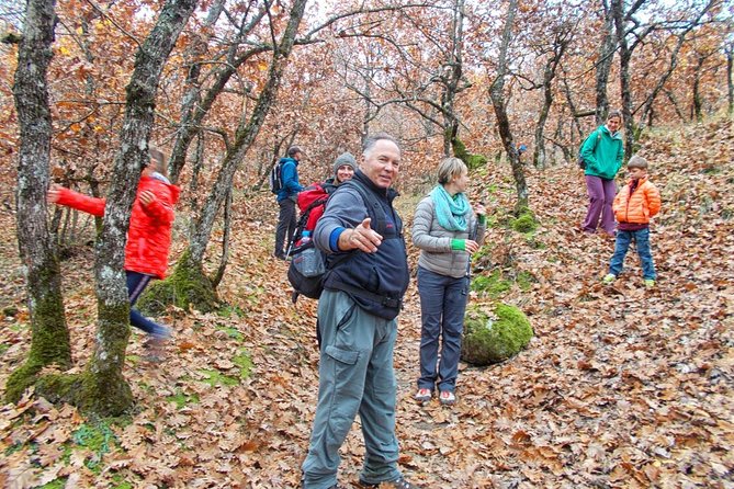 Hiking Tour to Meteora From Kalambaka - Local Agency - Nature Insights