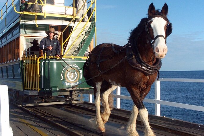 Hills to the Seaside: Full-Day Hahndorf & Victor Harbor Tour - Scenic Stops