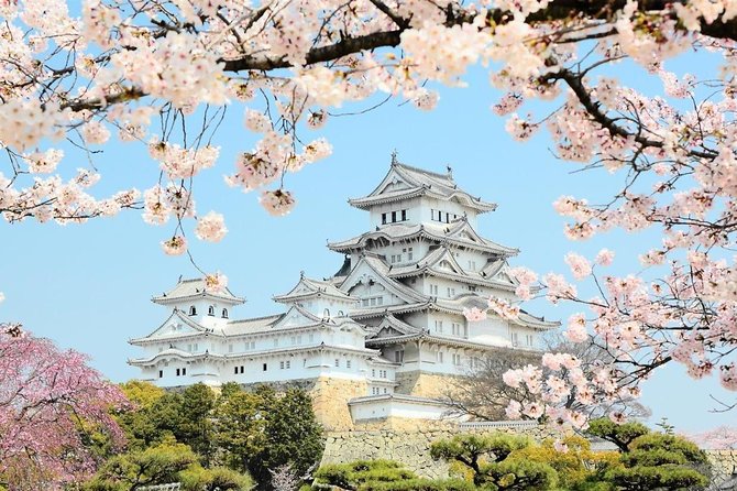 Himeji Half-Day Private Tour With Government-Licensed Guide - Pricing Information and Support