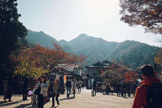 Hiroshima Custom Half Day Tour - Reviews and Support