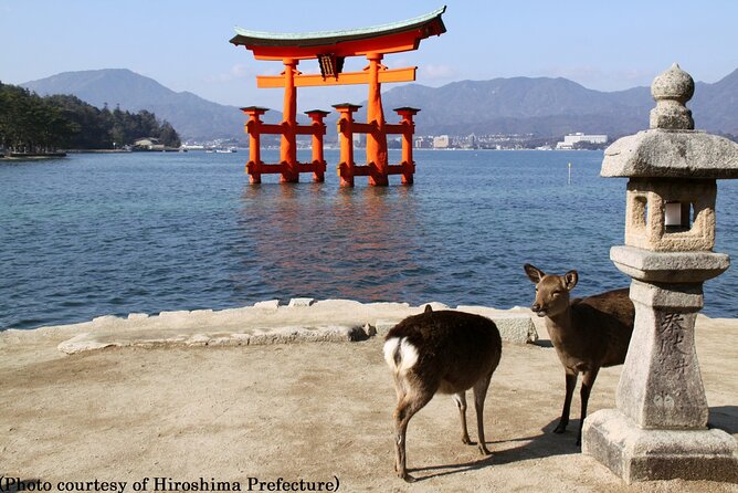 Hiroshima Departure - 1 Day Hiroshima & Miyajima Tour - Booking Policies