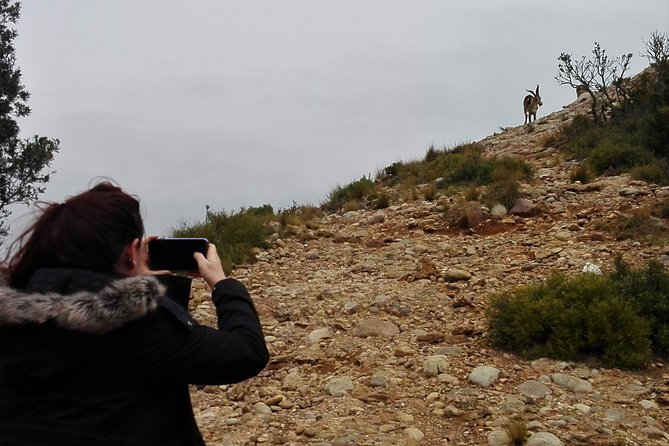 Historical Montserrat Half-Day Hiking Tour From Barcelona - Physical and Spiritual Journey