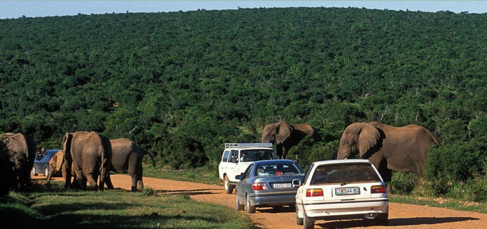 Hluhluwe Imfolozi Day Tour 4x4 Game Drive - From Durban - Essential Requirements