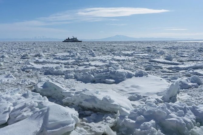 Hokkaidos Winter Awe-inspiring Drift Ice & Sounkyo Ice Sculpture! - Weather Considerations and Contingencies