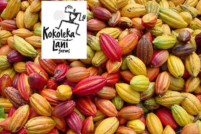Holualoa Coffee and Chocolate Plantation 2-hour Guided Tour  - Big Island of Hawaii - Feedback and Recommendations