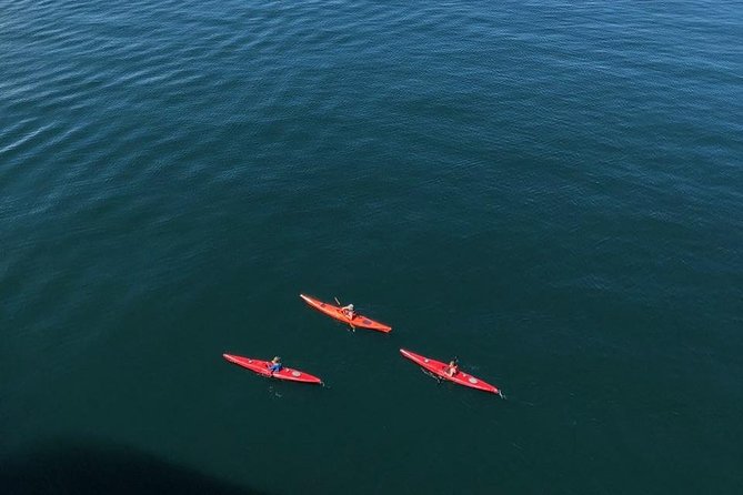Hoonah Small-Group Kayak Tour (Mar ) - Traveler Experience