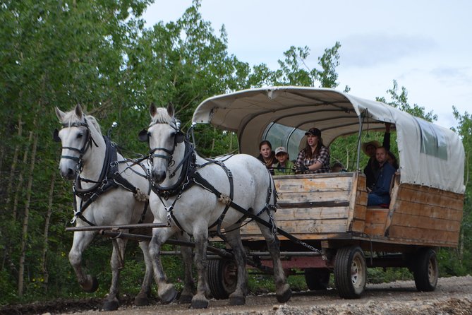 Horse-Drawn Covered Wagon Ride With Backcountry Dining - Unwind With Horse-Drawn Adventure