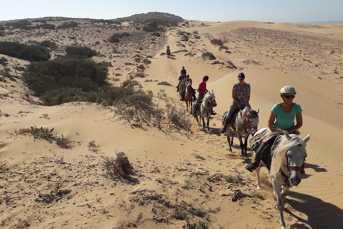 Horse Ride on the Beach in Essaouira - Overall Horse Riding Experience