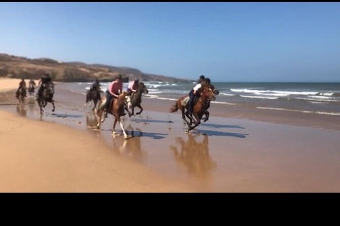 Horse Riding Agadir - Experience Expectations