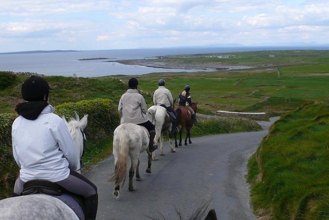 Horse Riding - Burren Trail. Lisdoonvarna, Co Clare. Guided. 3 Hours. - Last Words