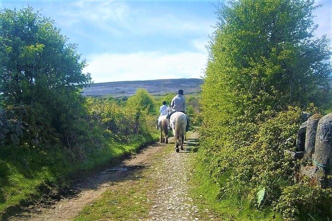 Horse Riding - Dirt Trek Trail. Lisdoonvarna, Clare. Guided. 1 Hour. - Cancellation Policy & Additional Information