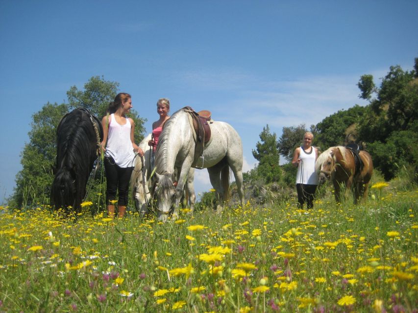 Horse Riding in Kusadasi - Additional Details