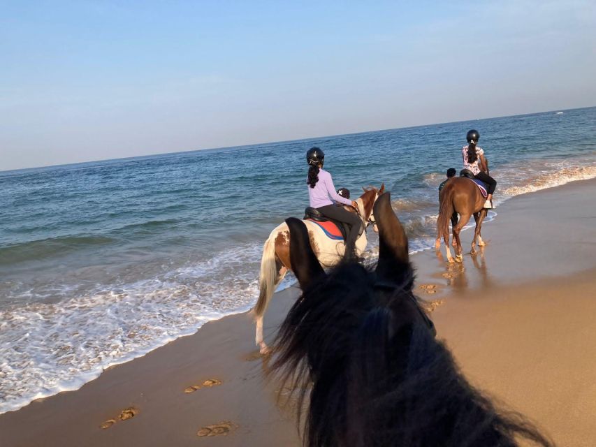 Horse Riding in Mount Lavinia - Booking Options